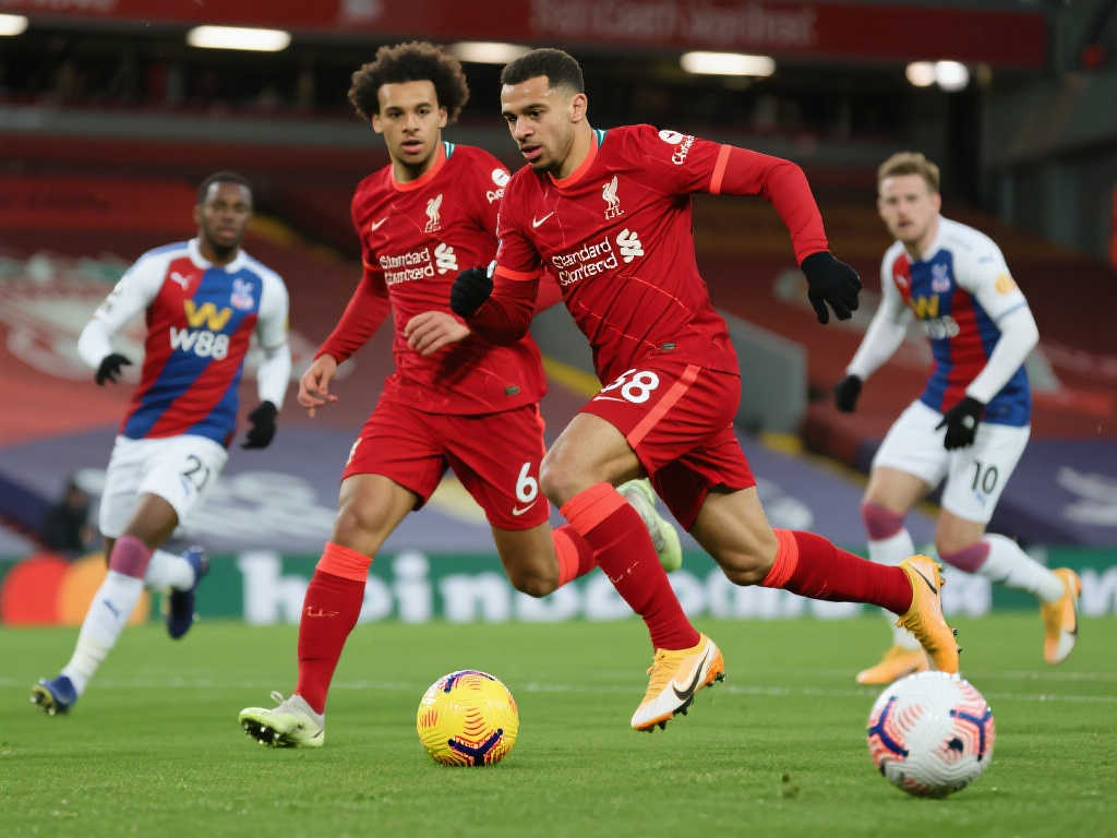 容轮换和球 容轮换和球